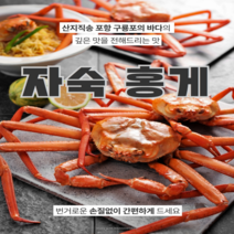 홍게 제철 자숙 대게 감동수산 박달 게 포항 죽도시장 구룡포 수율보장[선주직송], 명품 소홍게10마리