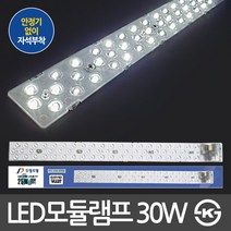 LED모듈램프 25W/30W LED모듈 LED기판 LED램프, 두영 LED모듈램프 30W 전구색