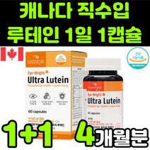 캐나다 뉴테인 루테린 LUTEIN 마리골드 메리골드 꽃 추출물 비타민 A E 베타카로틴 아연 직장인 청소년 50대 60대 부모님 눈 안구 건강 노안 노화 흐림 침침 영양제 추천, 2박스(4개월분)