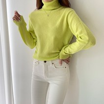 여성 데일리 비비드 스판 폴라 니트티