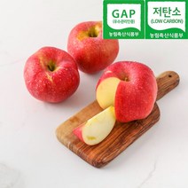 충주 GAP 저탄소 껍질째 먹는 홍로 아리수 사과 선물 세트 5kg 산지직송, 가정용 홍로사과 5kg(17~21과내외)