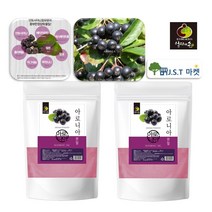JAU 국내산 아로니아 분말 가루 500g 초크베리 킹스베리, 2팩