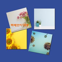 예닮 다쿠용 정사각 메모장 떡메 캐릭터메모지 귀여운메모지 예쁜메모지 칼라 대떡메 떡메모지 도안 떡메모지 제작 2권, 메리골드