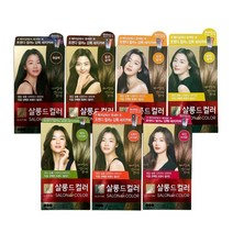 엘라스틴 살롱드컬러 염모제 100g 7종 모음 택1, 오렌지브라운 100g 1개