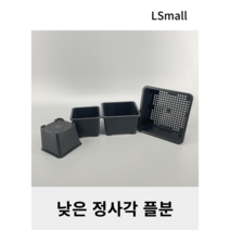 낮은 정사각 플라스틱 화분, 3호