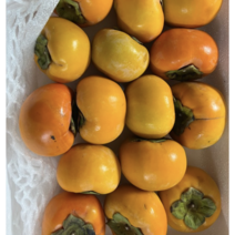 태추단감 배단감 2kg / 4kg 부유단감 배향 고당도 경남 햇 고성 순천 진영 창원 단감 선물세트 부유단감, 1개