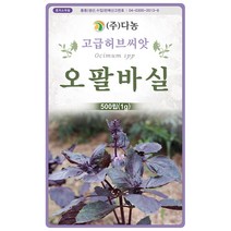 타임 1000립 - 백리향 허브 허브씨 허브씨앗 씨 씨앗 타임씨앗 타임씨 꽃씨 꽃씨앗 다년생 여러해살이 Thyme, 02_다농_오팔바실(1g)