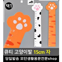 수학시간 초등학생 필수준비물 고양이 자 문구류 문구쇼핑몰 자취필수템, 화이트