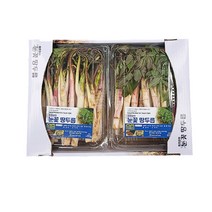 당일수확 강원도재배 땅두릅 두릅, 눈꽃 땅두릅 500g