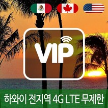 VIP 하와이 4G LTE 포켓 와이파이 매일 1GB 후 저속 국내공항 수령, 매일 1GB 후 저속 1일/인천공항
