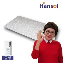 +본사+ 2020년형 한솔 참사랑 절전형매트 전기매트 전기장판, 초절전중형