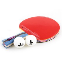 탁구라켓 탁구공포함 쉐이크라켓 취미 레저용 입문용