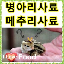초이사료 병아리사료 1kg 소분판매전문 종합비타민 폐사방지 비타민 천연미네랄 무기질 다량함유 [명품사료], 15번 UFO 물통