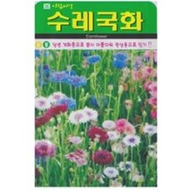 저스틴앤클로이 수레국화500립 야생화종자, 3팩