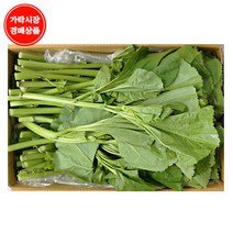 [가락시장 경매 식자재 채소] 아욱 4kg내외