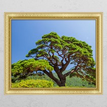 cl498-푸르른소나무_창문그림액자, B타입외부창문형