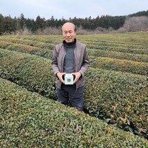 유기농 보성 녹차 티백 20개입 우전 첫물차, 유기농 녹차 티백 20개입