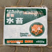 [우야플랜트샵] 칠레산 고급수태 대용량 500g, 7개(3500g)