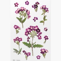 압화스티커 팬시 다꾸 폰꾸 스티커 버베나 꽃스티커 압화책갈피 꾸미기