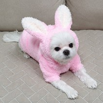 도기코디 토끼 후리스 보아 후드티 강아지겨울옷, 핑크