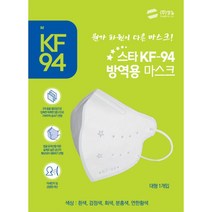 스타 KF94 방역용마스크(대형) 2D x 100매 / 색상별 골라담기, 블랙