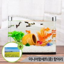 미니어항세트(중) 항아리장식 유리어항 수족관세트