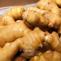 흙생강 생강효능 세척 생강술 근채류 흑생강 햇생강 수입산 세척생강 깐생강 1박스 10kg 근채류 생강 검은생강