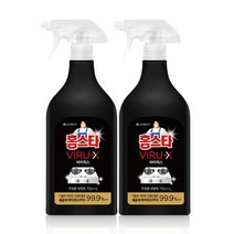 홈스타 바이럭스 주방용세정제 750ml, 2개