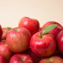 [착한식탁] 주스용 부사 사과 랜덤과 9kg, 단일속성