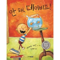 사랑스런 말썽쟁이 데이비드 선택구매/칼데콧 아너상 수상작 베스트셀러, 4 안돼 데이비드