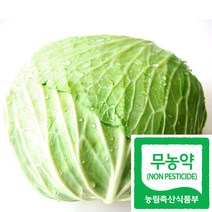 국산 친환경인증 무농약 양배추 1kg(반통~1통) 생식용, 중량, 3kg
