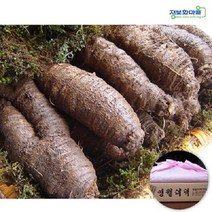 (인빌푸드)술빛고을 동강더덕 선물용 1.6kg(대상급), 1개