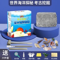 화석유물 발굴키트 고고학 파고 천연 보석 노크 광석 파고 찾기 공주 다이아몬드 블라인드 상자, 월드 오션 퀘스트