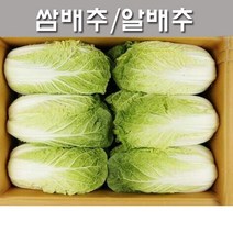 [알배추10~15포기]15k내외_산지직송/배추/쌈배추/알배기, 알배추10~15포기