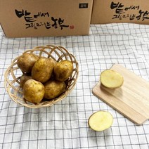 강원도감자 금정농산 두백감자 알감자 감자 5kg, M 상 5kg