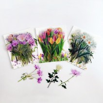 압화 꽃 스티커 대용량 40매 6종 플라워 다꾸 데코 식물 나뭇잎 꽃잎스티커, 1. TAWANY