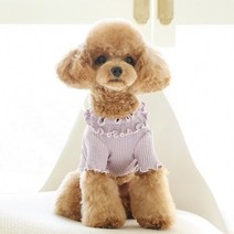[갤러리아] 꼴레트멍멍치즈 강아지티셔츠 마이리틀독, 옐로우