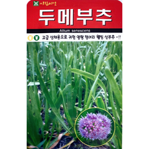 두메부추씨앗100립 웰빙부추씨앗 아람종묘, 1개