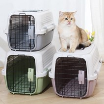강아지 고양이 켄넬 케이지 이동가방 애견 이동장 더블도어 캐리어 기내용 항공, 그린(L)