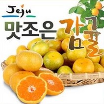 서귀포 첫수확 당도선별 노지감귤 5kg 10kg, 노지감귤 5kg 꼬마귤
