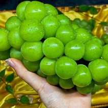 [장보리] 국내산 샤인머스켓 포도 2kg (3-5과 내외), 상세 설명 참조
