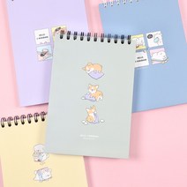 이리눕개 A5 상철 스프링 노트 3000, 민트