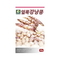 풋콩 얼룩강낭콩 씨앗 30g 왜성 저장용 무병지 재배, 단품