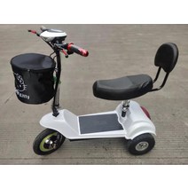 세발 전기자전거 노인 배달용 전동 삼륜 가성비 성인용, 화이트2인(납축전지, 전후디스크브레이크), 24V