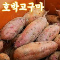 [진리마켓 정품] 충남 당진 안면도 세척 호박고구마 3/5/10kg, 3kg(한입)/50~80g내외