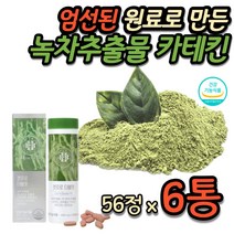 일주일 급 다이어트 프로그램 효과좋은 보조제 체지방 감소 식단표 임산부 안전한 식약처인증 부작용없는 녹차 추출물 20대 30대 40대 여성 예신 예비신부 웨당 관리 결혼전 선물
