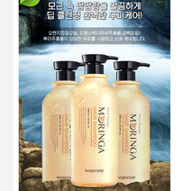 휘엔느 모링가 단백질 용량 샴푸 미용실 단백질샴푸 천연샴푸 바디로션 바디워시 헤어오일 두피샴푸 트리트먼트 약산성 딥클렌징 자연유래샴푸 마스케어 명절 무실리콘 퓨어테라피 전상품 선물세트, 휘엔느 모링가 샴푸 1000ml x 3개