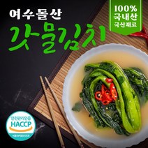 맛나식품돌산여수갓김치 최저가 상품 TOP50을 소개합니다