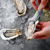 통영 생굴 하프셀 반각굴 생물 30미 60미 90미 굴석화 석굴 제철 당일작업, 하프셀 1단 (30미)