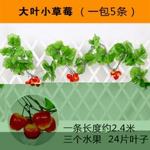 복도 장식 그린 등나무 페이크 덩쿨 라탄 심플 비닐 플라워 컬러 펀텐트 전시장 녹색 식물 트로피칼 2622582227, I71 대엽 숏 엘로 박과 식물의 총